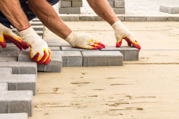 Best Decorative Driveway Pavers  in Lady Lake, FL