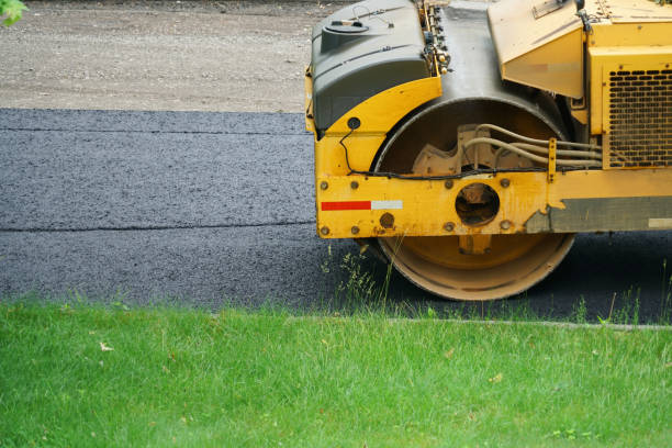 Best Custom Driveway Pavers  in Lady Lake, FL