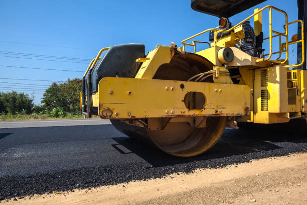 Best Local Driveway Pavers  in Lady Lake, FL